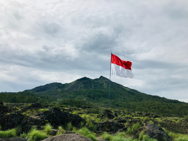 Leer Bahasa Indonesia met IkganaarBali