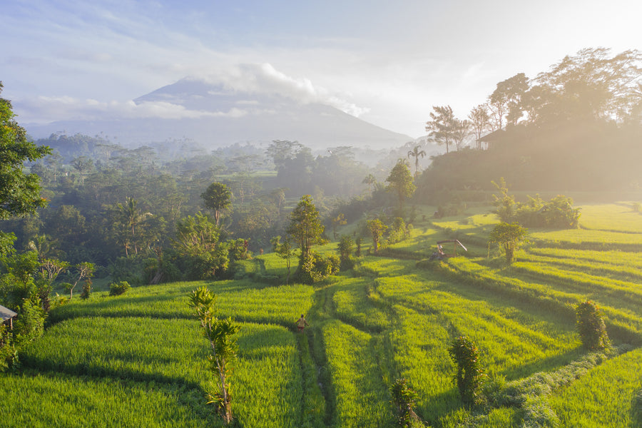 Op vakantie naar Bali; dingen die je vooraf moet weten