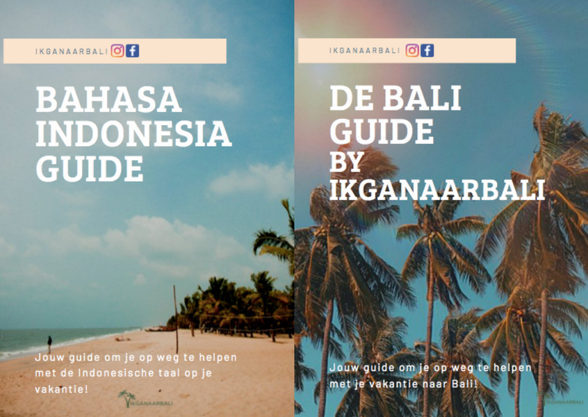 De Bali en Bahasa Indonesia Guide!