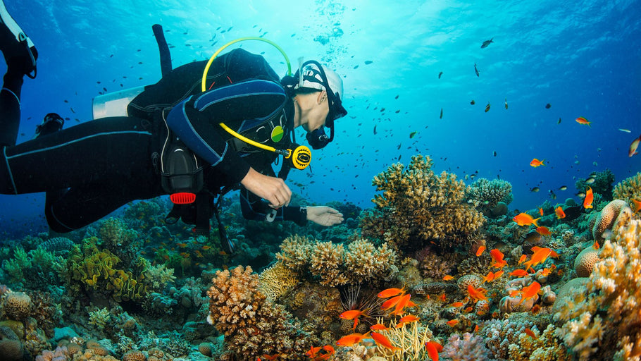 De 5 mooiste duikplekken op Bali