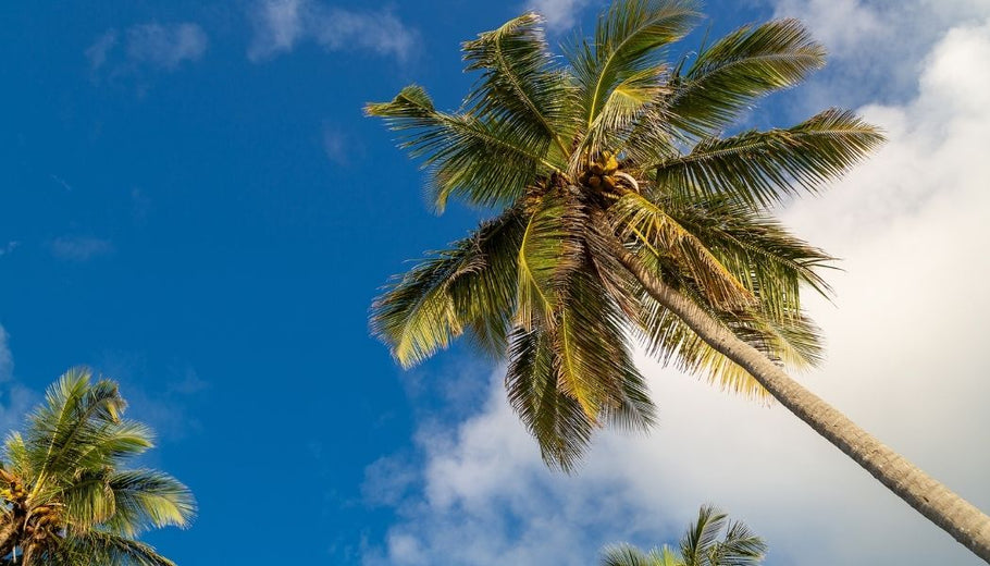 Activiteiten die je in Bali moet doen!
