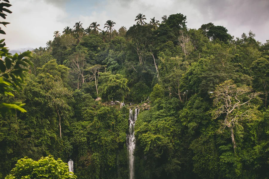 De beste watervallen in Bali