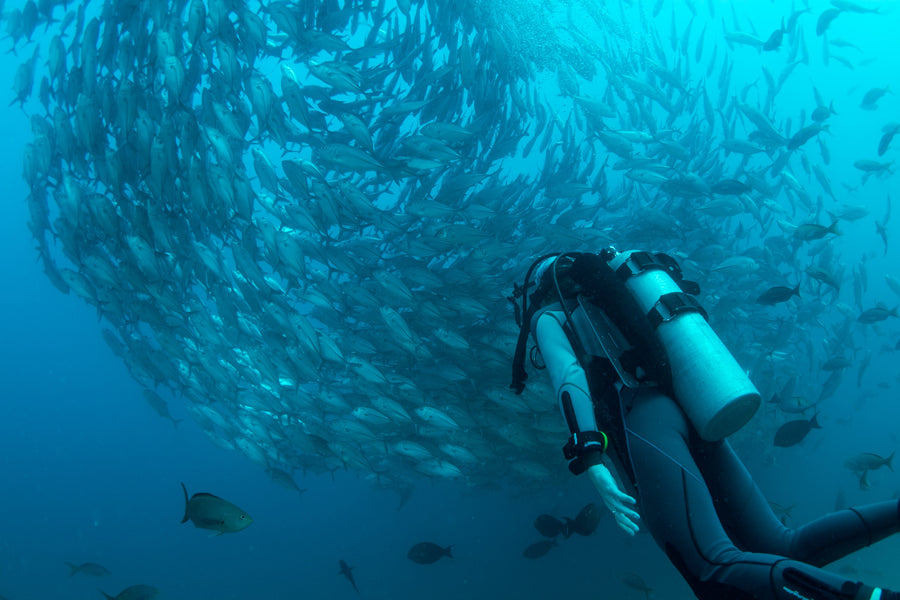 Ontdek de onderwaterwereld van Bali!